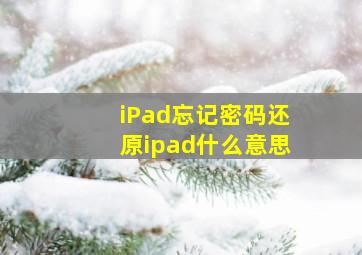 iPad忘记密码还原ipad什么意思