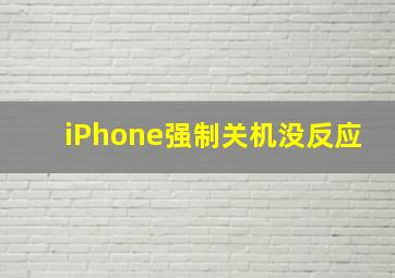 iPhone强制关机没反应