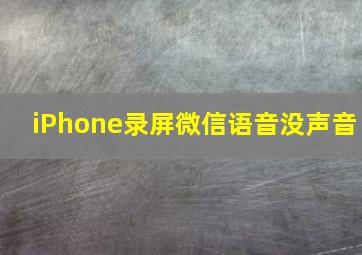 iPhone录屏微信语音没声音