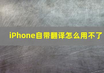 iPhone自带翻译怎么用不了