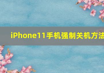 iPhone11手机强制关机方法