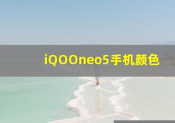 iQOOneo5手机颜色