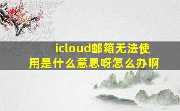 icloud邮箱无法使用是什么意思呀怎么办啊