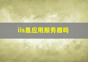 iis是应用服务器吗