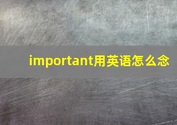 important用英语怎么念