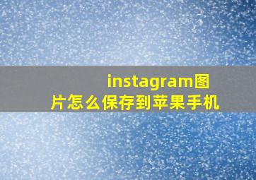 instagram图片怎么保存到苹果手机