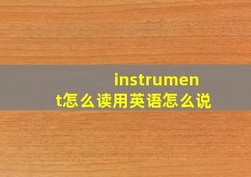 instrument怎么读用英语怎么说