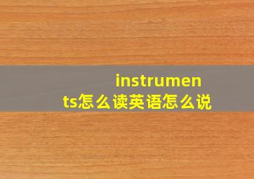 instruments怎么读英语怎么说