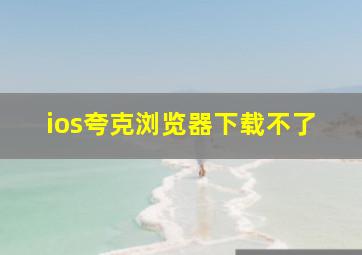 ios夸克浏览器下载不了