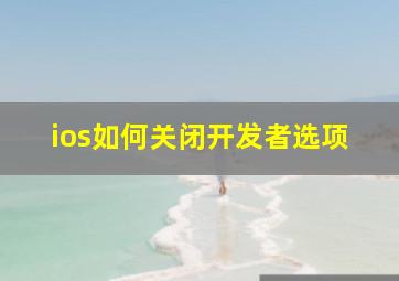 ios如何关闭开发者选项