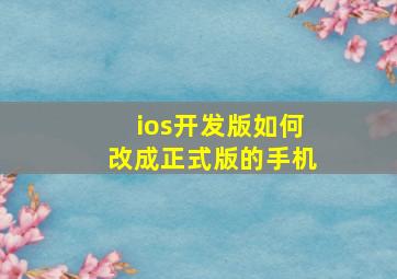 ios开发版如何改成正式版的手机