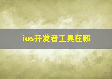 ios开发者工具在哪