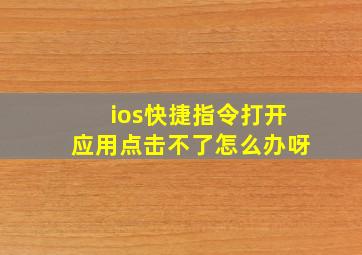 ios快捷指令打开应用点击不了怎么办呀