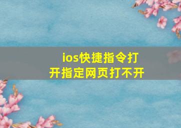 ios快捷指令打开指定网页打不开