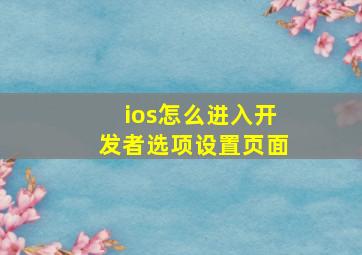 ios怎么进入开发者选项设置页面