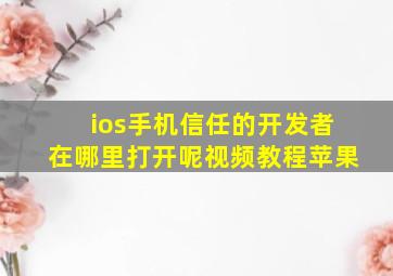 ios手机信任的开发者在哪里打开呢视频教程苹果