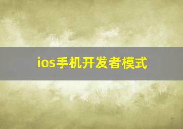 ios手机开发者模式