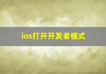 ios打开开发者模式