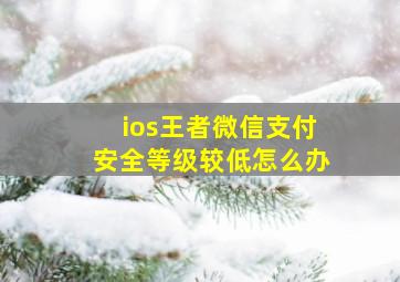 ios王者微信支付安全等级较低怎么办