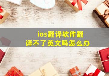 ios翻译软件翻译不了英文吗怎么办