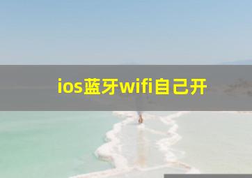 ios蓝牙wifi自己开