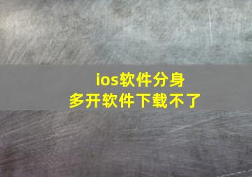 ios软件分身多开软件下载不了