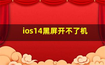 ios14黑屏开不了机