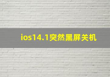 ios14.1突然黑屏关机