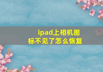 ipad上相机图标不见了怎么恢复