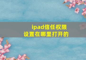 ipad信任权限设置在哪里打开的