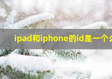 ipad和iphone的id是一个么