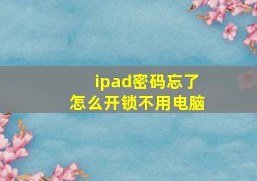 ipad密码忘了怎么开锁不用电脑