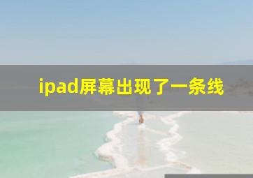 ipad屏幕出现了一条线