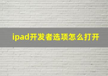 ipad开发者选项怎么打开