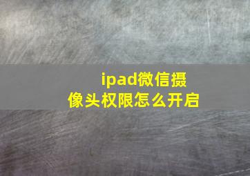 ipad微信摄像头权限怎么开启