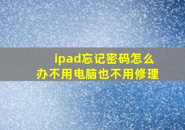 ipad忘记密码怎么办不用电脑也不用修理