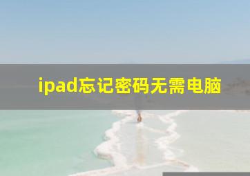 ipad忘记密码无需电脑