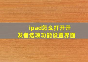 ipad怎么打开开发者选项功能设置界面