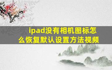 ipad没有相机图标怎么恢复默认设置方法视频