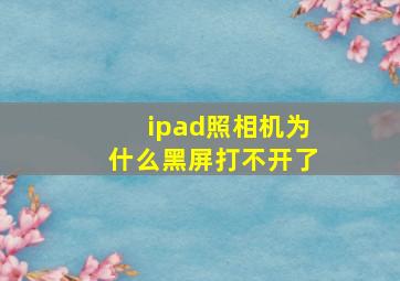 ipad照相机为什么黑屏打不开了