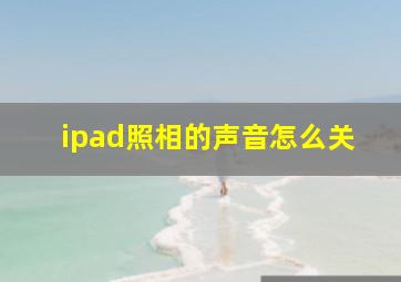 ipad照相的声音怎么关