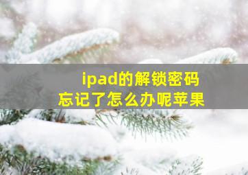 ipad的解锁密码忘记了怎么办呢苹果