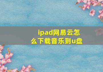 ipad网易云怎么下载音乐到u盘