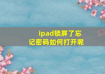 ipad锁屏了忘记密码如何打开呢