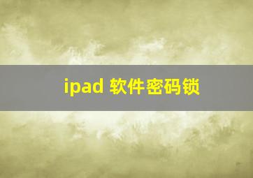 ipad 软件密码锁