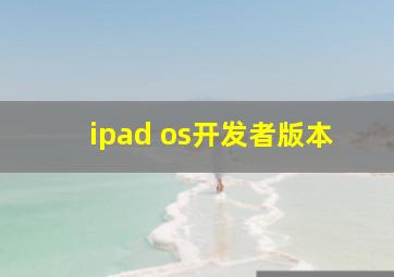 ipad os开发者版本