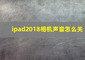 ipad2018相机声音怎么关