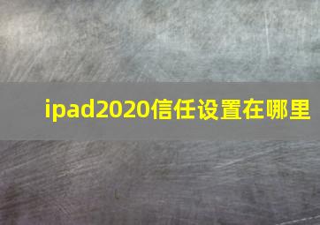 ipad2020信任设置在哪里