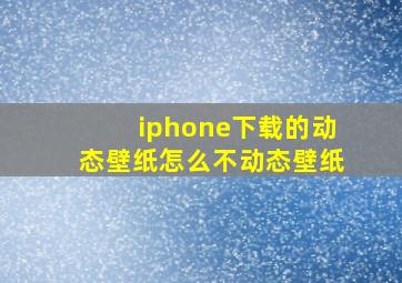 iphone下载的动态壁纸怎么不动态壁纸