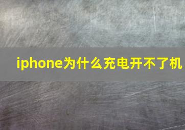 iphone为什么充电开不了机